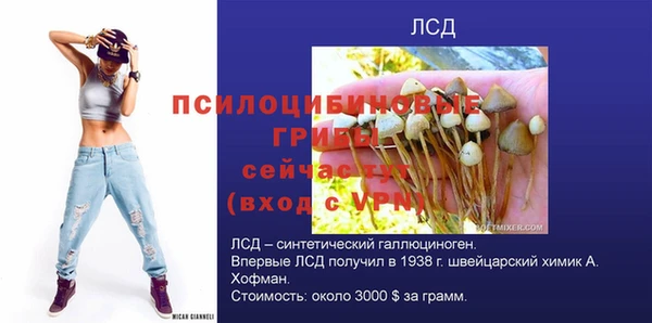 марихуана Гатчина