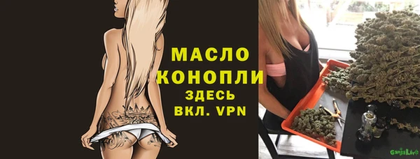 твердый Арсеньев