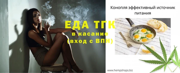 твердый Арсеньев