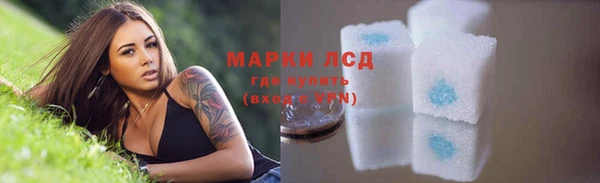 твердый Арсеньев