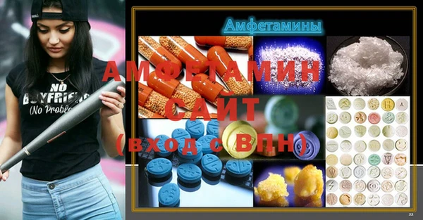 индика Аркадак