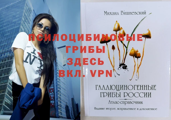 индика Аркадак