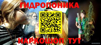 спиды Кингисепп