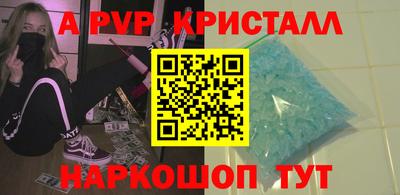 спиды Кингисепп