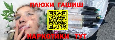спиды Кингисепп