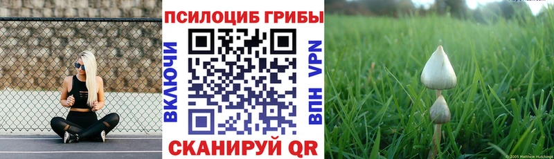 где купить наркоту  Клин  shop клад  Галлюциногенные грибы мицелий 